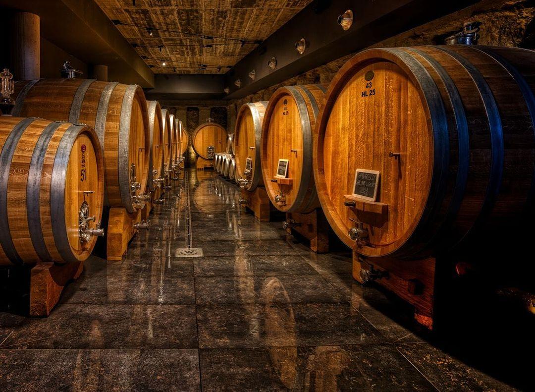 Vineyard
